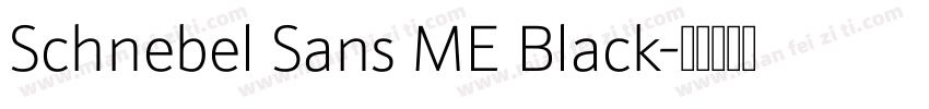 Schnebel Sans ME Black字体转换